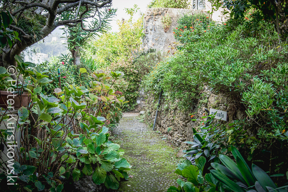 Kleine Gärten einfach mal so