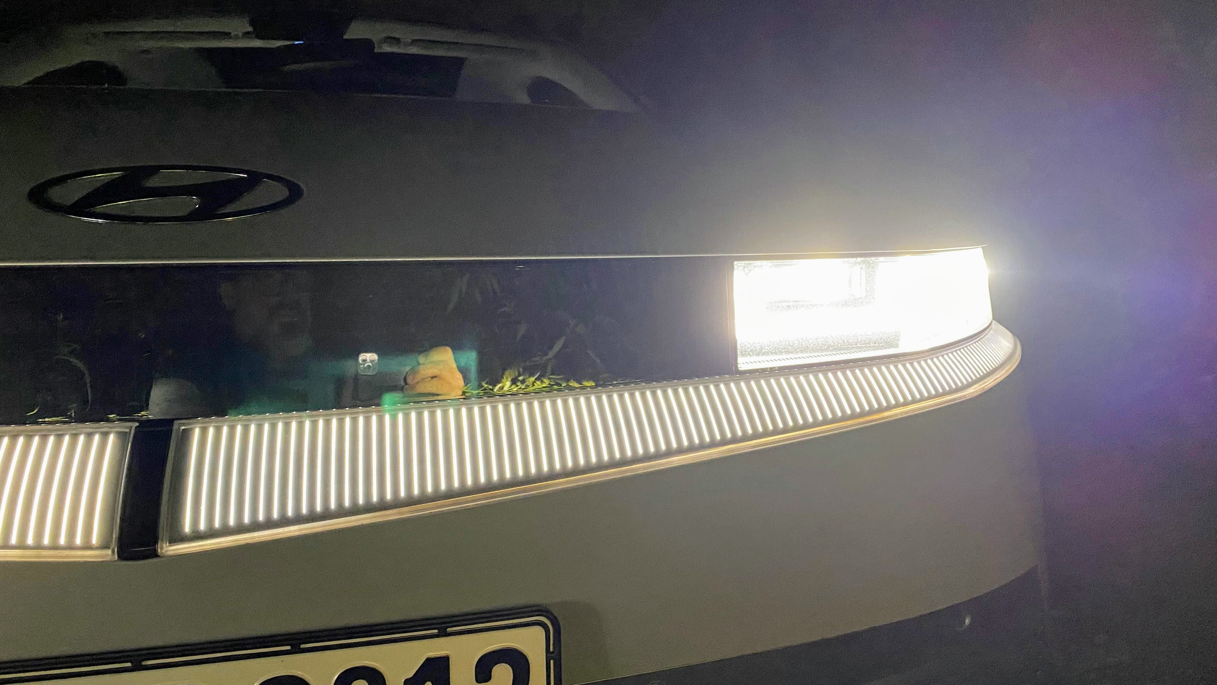 Die Lampen sind wirklich ein Hinkucker.