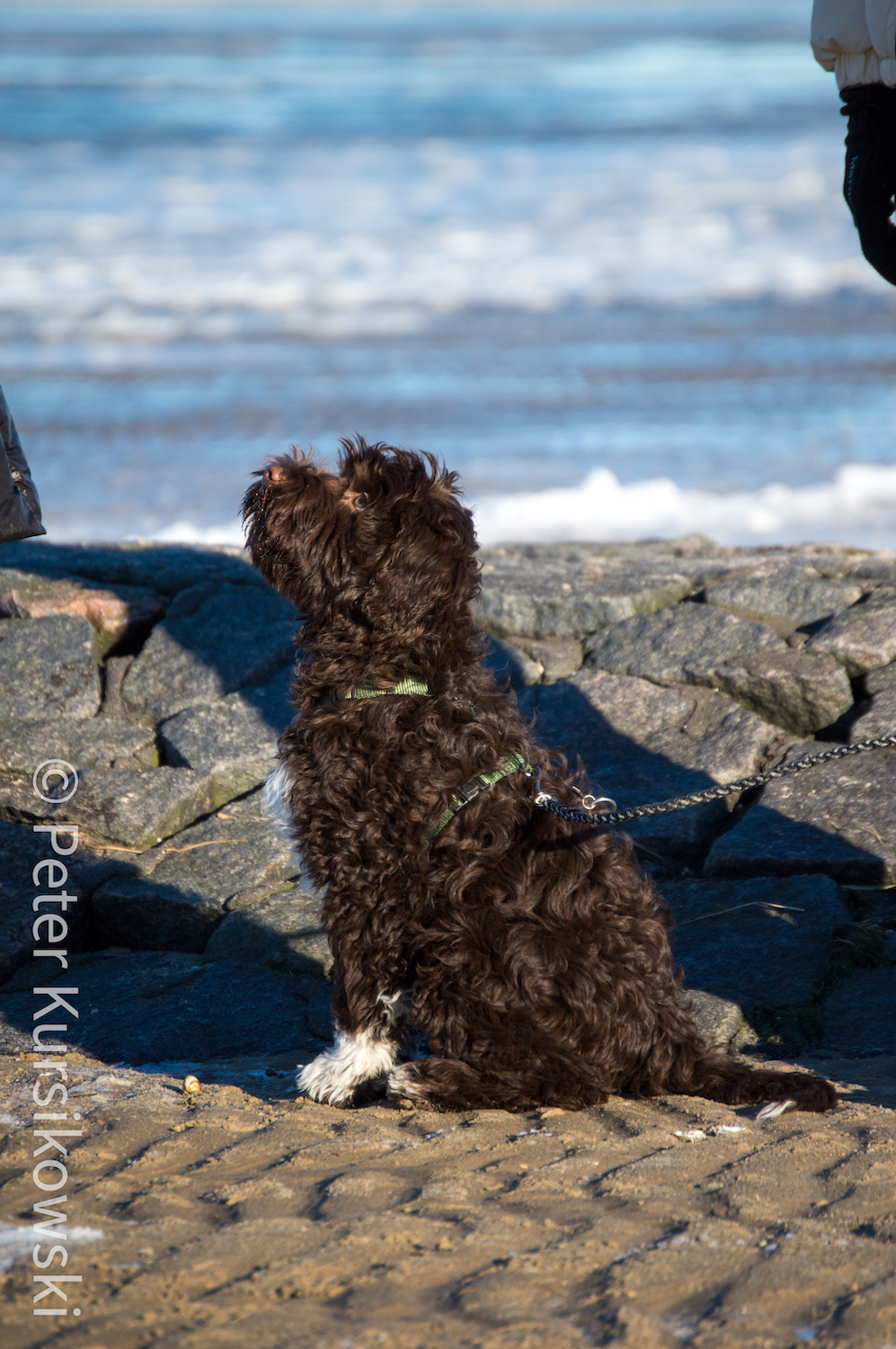 Joschka meine Güte war der mal klein.